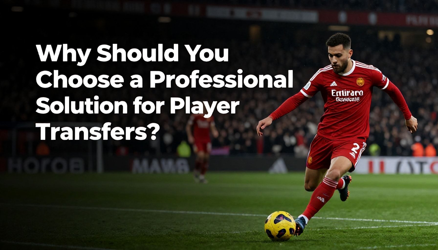 Veteriner ve Pet Shop Kayıtlarını Hızlı ve Güvenli Transfer Edin 2 Neden Kayıt Transferi için Profesyonel Bir Çözüm Seçmelisiniz?*