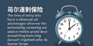 Taşıma Sigortası Devreye Giriş Zamanı ve Avantajları